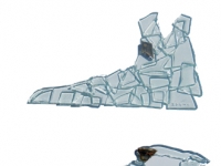 scarpe
