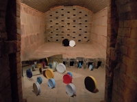 mutanti-rot-2010