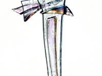 Fiaccole Olimpiche 03